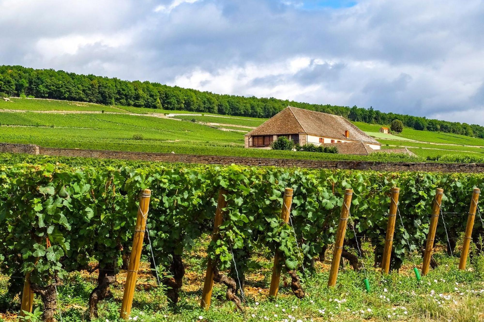 Voco Beaune , Cite Des Vins By Ihg Eksteriør billede